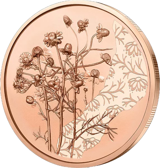 10 euros Autriche Avec le langage des fleurs - Camomille 2023