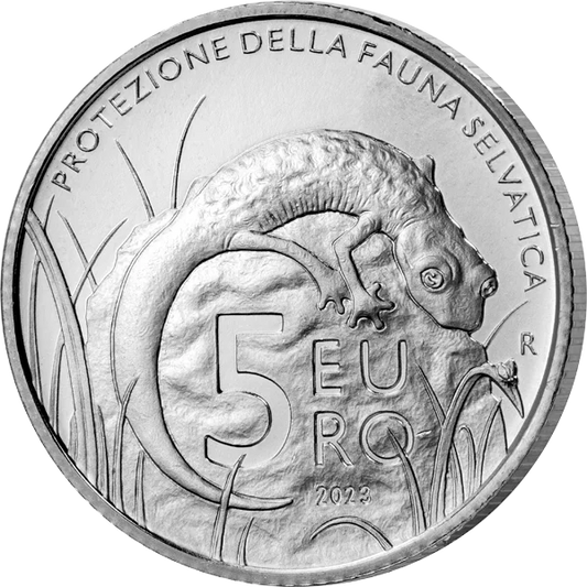 5 euros Saint-Marin Protection de la faune sauvage de Saint-Marin - Gecko 2023