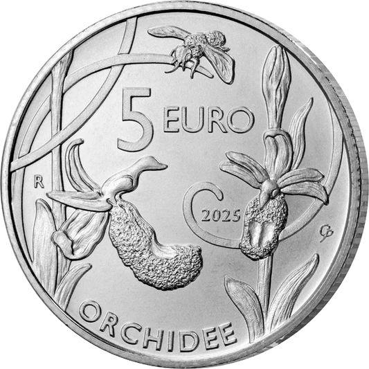 Orchidées sauvages de Saint-Marin à 5 euros (2025)