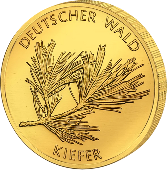 20 euros Allemagne Pin des forêts allemandes 2013 État excellent à neuf